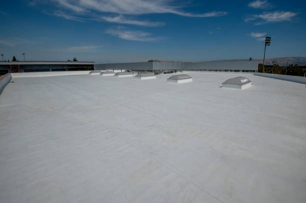 Roof Coating Services in Freeland, PA