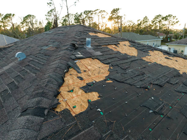 Best Roof Leak Repair  in Freeland, PA